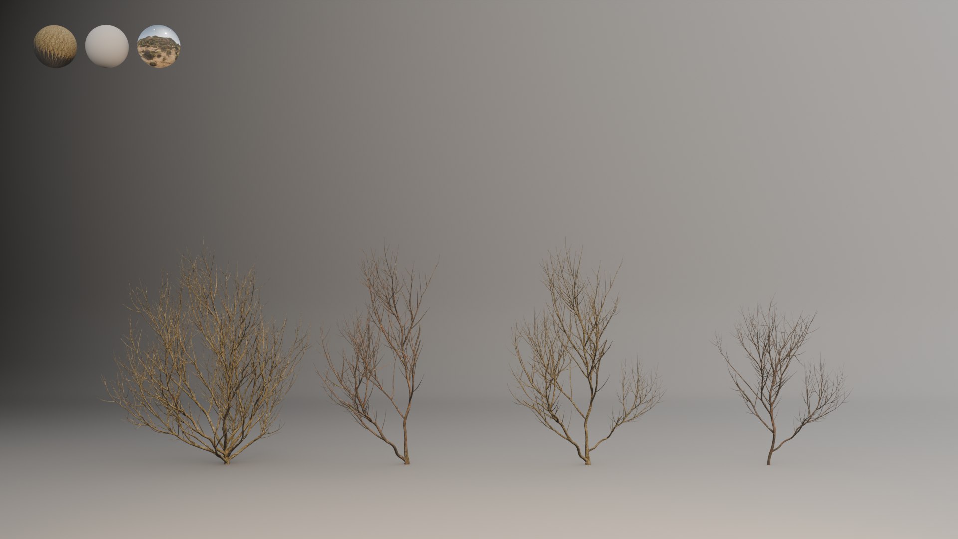 Buisson sec